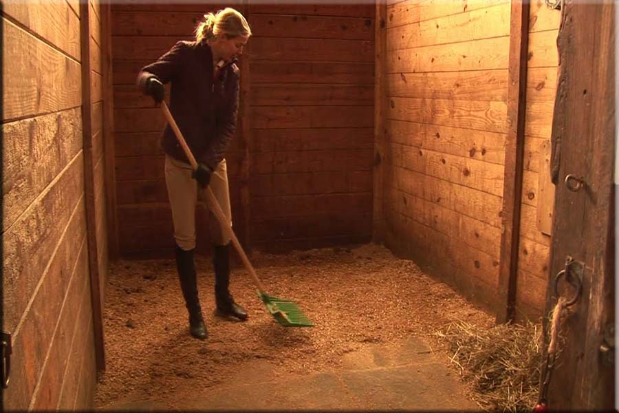 Stall Cleaning Services