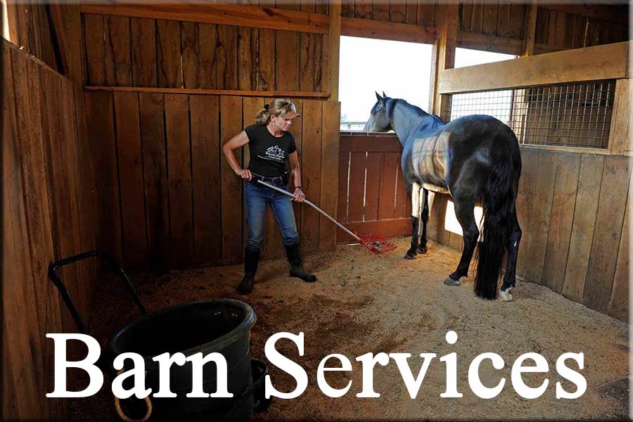 Barn Maid Services