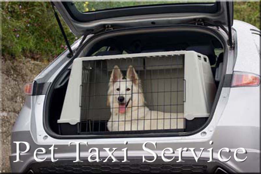 Pet Taxi Services
