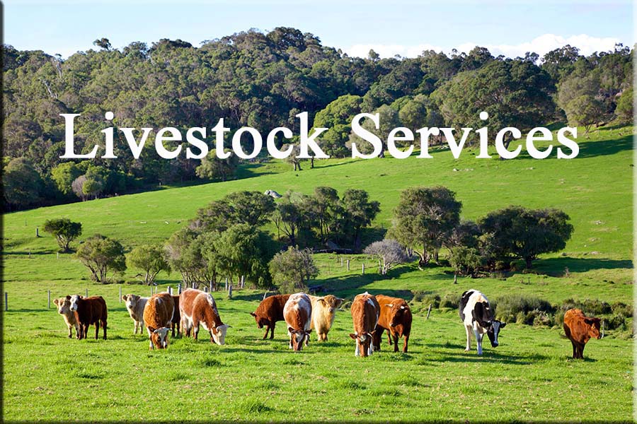 Livestock Services