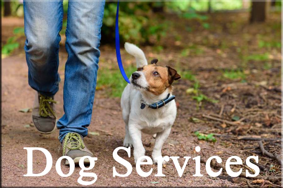 Dog Services